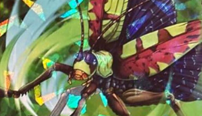 蟲神器】ヨツモンヒラタツユムシ（SR）のカード詳細・評価・デッキ採用