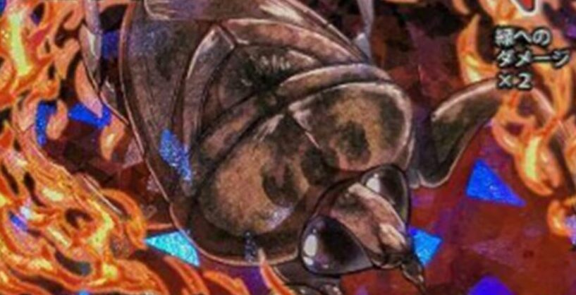 蟲神器】ナンベイオオタガメ（SR）のカード詳細｜蟲神器 最強データベース