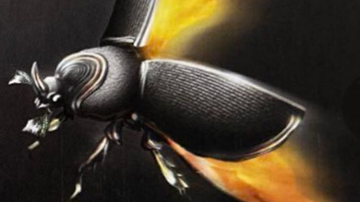 蟲神器　小兜虫の甲冑 蟲神器】小兜虫の甲冑（N）のカード詳細｜蟲神器（虫神器） 最強