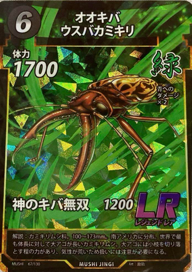 蟲神器 第1弾LRカード「オオキバウスバカミキリ」のカードイラスト